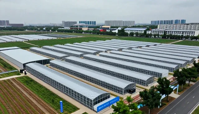 运维支持在系统开发中的实际应用场景分析